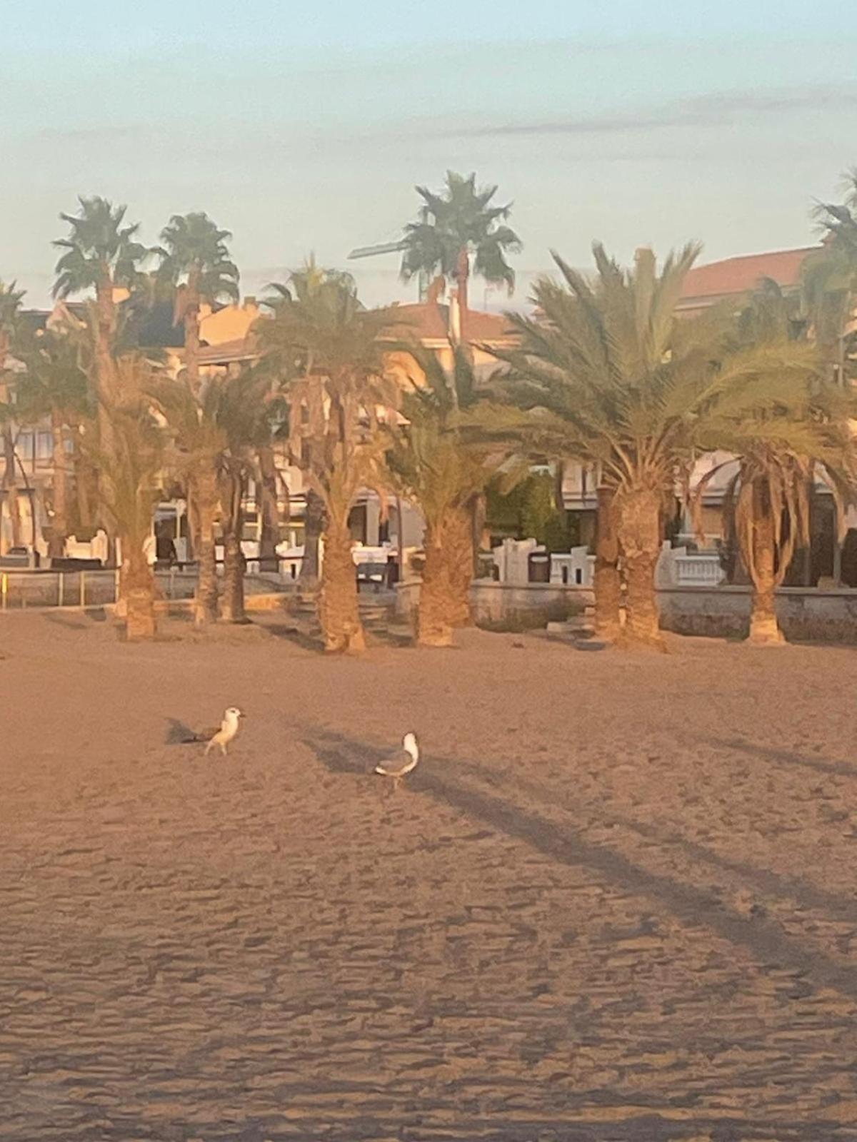 Vacaciones En Playa Del Tamarit Apartment Santa Pola Ngoại thất bức ảnh